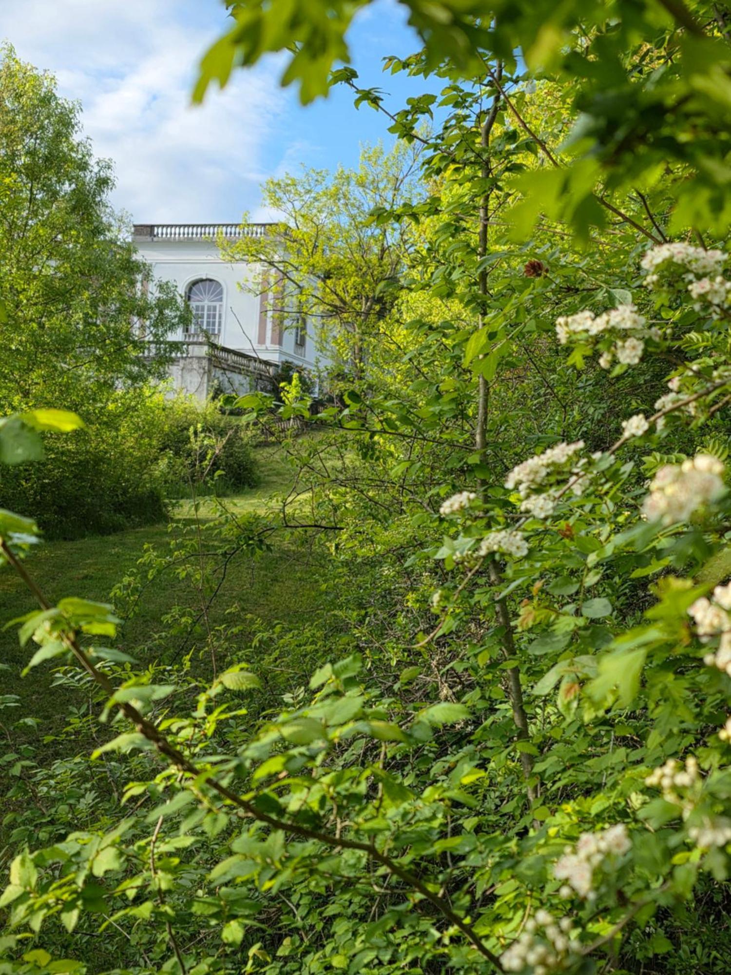 Chateau De Pourpry Damiatte Exterior foto